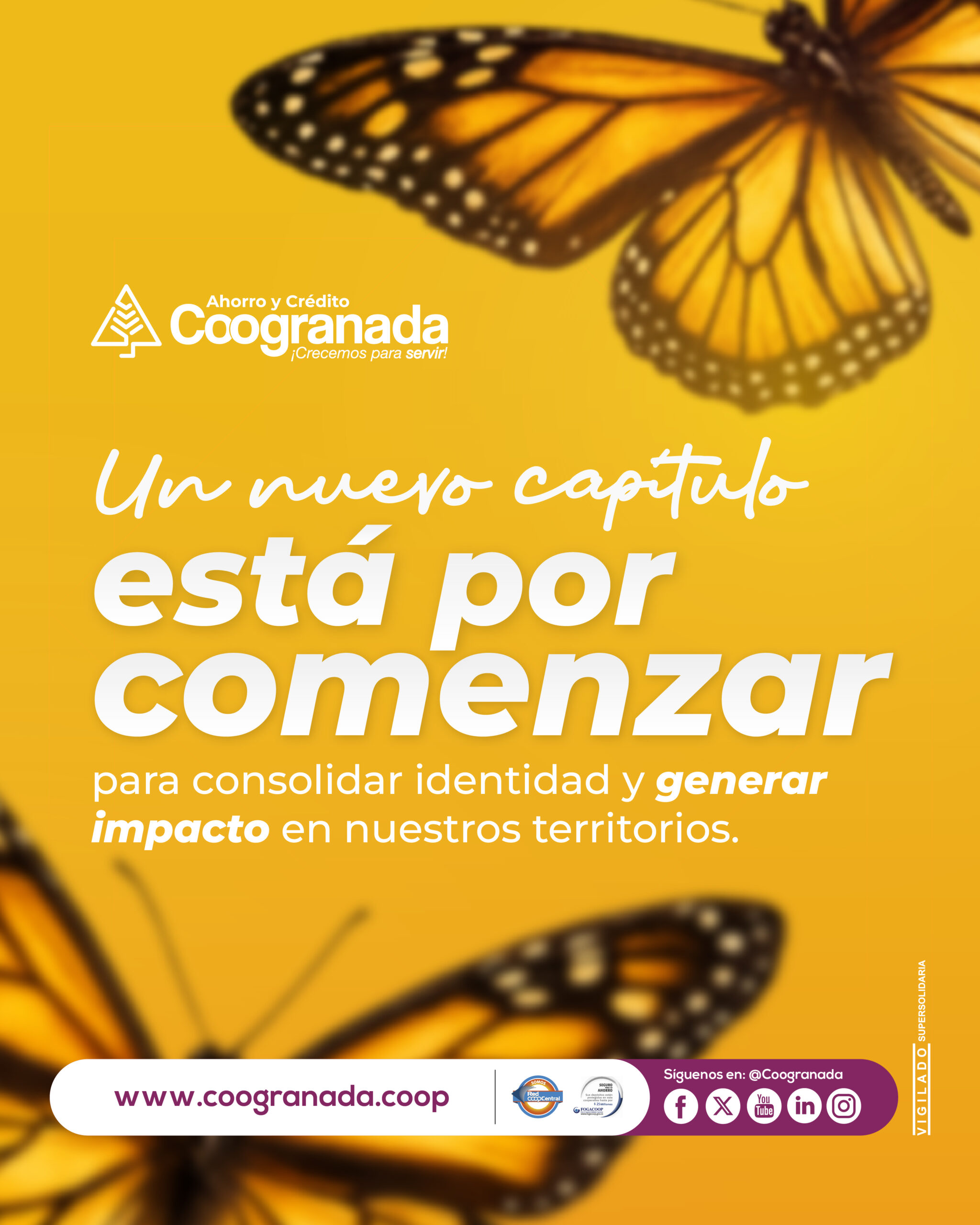 EXPECTATIVA 2_MAILING OPC 1
